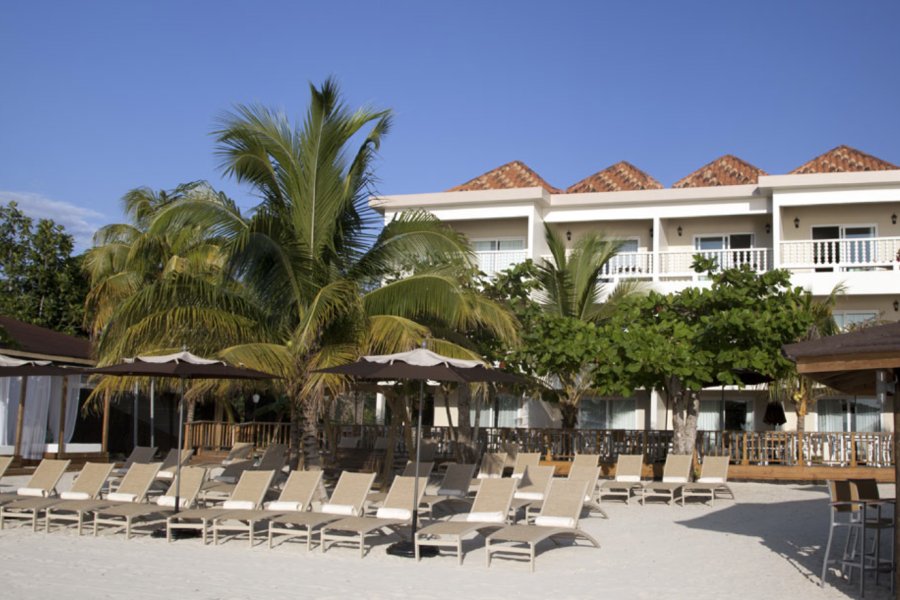 Sandy Haven’s